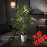 光触媒　人工観葉植物　ウォールグリーン　フェイクグリーン　トネリコ8050