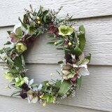 レンテンローズ（春咲きクリスマスローズ）