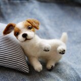 クッションで寝そべる ジャックラッセルテリア