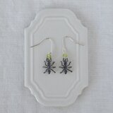 クロナガアリのピアス・SV