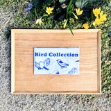 手ぬぐい「T-BOX造形教室 鳥図鑑2025」