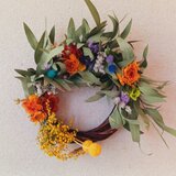 (送料無料)ドライフラワーリース　ラナンキュラスとミモザと、