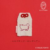 【名入れ可・色変更可】猫ちゃんお守り／エキゾチックロングヘア