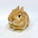 ＜受注制作＞うさぎのぬいぐるみ　ネザーランドドワーフの赤ちゃんのコピー
