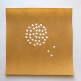 染型紙（花びら・Ｊ）