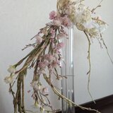 インテリアｶﾞｰﾗﾝﾄﾞ 八重桜とカスミ K1