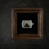 デンドリティククオーツのRingⅡ