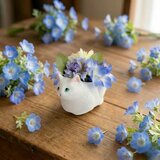 【ネモフィラ猫】手のひらサイズの猫のネモフィラフラワーアレンジ　　母の日