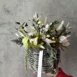 18種の植物の長もちアレンジメント