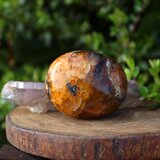 ライオンズゲートクォーツ　パームストーン