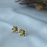 真鍮のピアス「scene14」