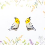 ～小さなピアスシリーズ～オカメインコ(A)ピアス/ノンホールピアス(樹脂イヤリング)