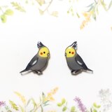 ～小さなピアスシリーズ～オカメインコ(A)ピアス/ノンホールピアス(樹脂イヤリング)