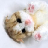 ＜受注制作＞子猫のぬいぐるみ　スコティッシュフォールド