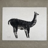 リャマ　原画