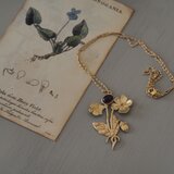 「イギリス植物誌」　ヴィオラ