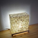 フロアライト 種    オプションでおやすみ灯に