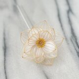 蓮かんざし：水の花-白蓮2026'-