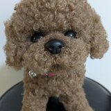 ハンドメイド☆ぬいぐるみ☆プードル☆茶