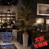 光触媒　人工観葉植物　ウォールグリーン　フェイクグリーン　アレカヤシ