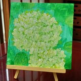 白い紫陽花