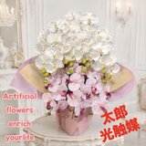 光触媒　人工観葉植物　ウォールグリーン　フェイクグリーン　胡蝶蘭2色