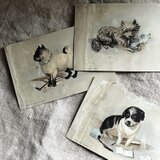 おしゃれな犬たち　リトグラフカード　希少