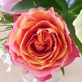 ＊御予約＊花咲く生垣のリング k18YG