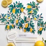 Limones(レモン)/ SHIORI 〜本を読みたくなる”しおり” 〜(7枚セット)