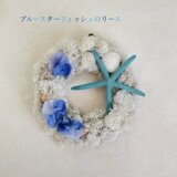 ブルースターフィッシュのリース②