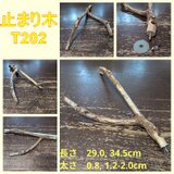 止まり木（枝：TOY-08-015）T210