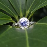 タンザナイト　ラウンドカット0.59ct　medallion　シルバーSV925リング