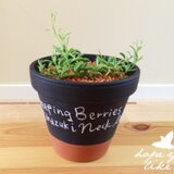 黒板ペイント植木鉢_design1