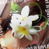 ヘアコサージュ☆プルメリア