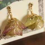 オレガノピアス