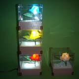 おりがみライトキューブType2-2