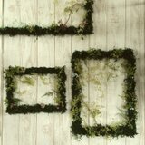 Green Frame『　M　』