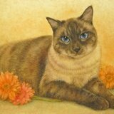 ミャー君（売約済み）