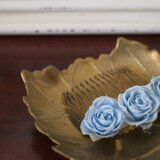 Florine (ﾍｱｺｰﾑ)