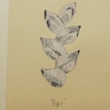 謄写版刷 パンポスター"Epi"