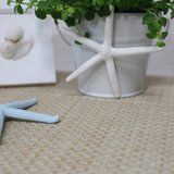 ヒトデのマグネット 白