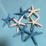 ヒトデ バレッタ