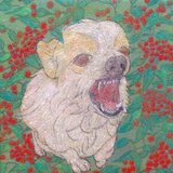 NANDINA(コーギー)