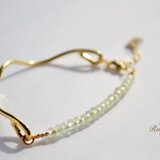 Paca(パカ)　ブレナイト