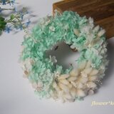 ＊*Mint Green* ＊アナベル&ラグラスのリース