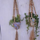 プラントハンガー＊ナチュラルＤ