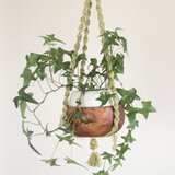 プラントハンガー wood001