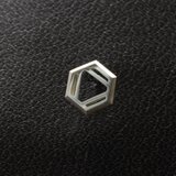 ベンゼン　化学式ピアス®片耳の画像