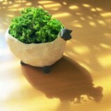 もりひつじ