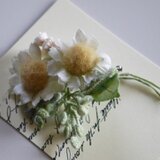 カモミール　ブローチ